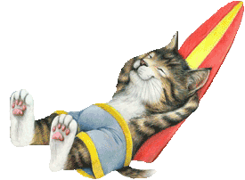 Cats graphics
