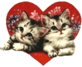 Cats graphics