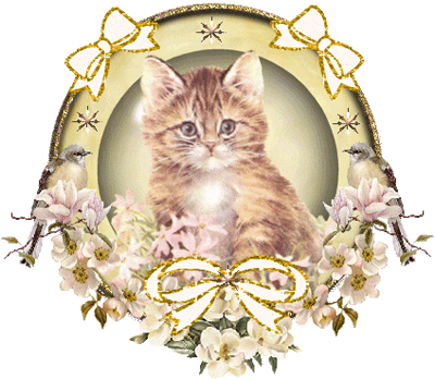 Cats graphics