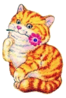 Cats graphics