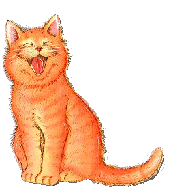 Cats graphics