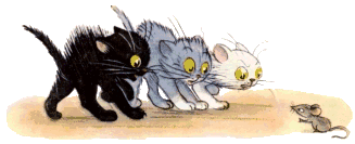 Cats graphics
