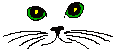Cats graphics