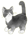 Cats graphics