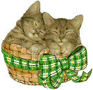 Cats graphics