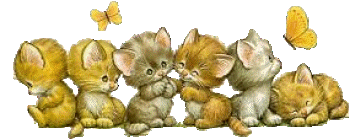 Cats graphics
