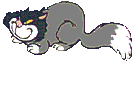 Cats graphics