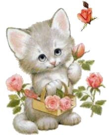 Cats graphics