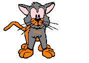 Cats graphics