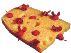 Cheese graphics
