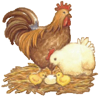 Chickens graphics