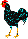 Chickens graphics