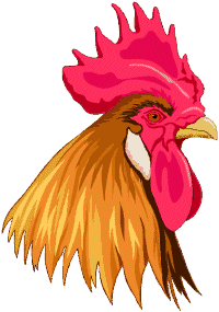 Chickens graphics