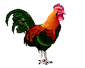 Chickens graphics