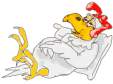Chickens graphics