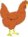 Chickens graphics