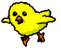 Chickens graphics