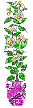 China graphics
