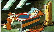 Chip n dale graphics