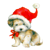 Christmas animals graphics