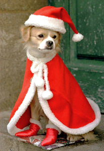 Christmas animals graphics