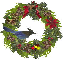 Christmas birds graphics