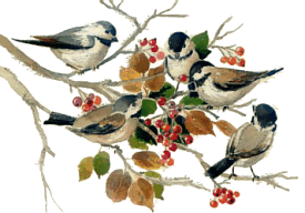 Christmas birds graphics