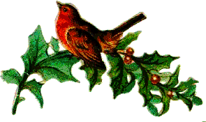 Christmas birds graphics