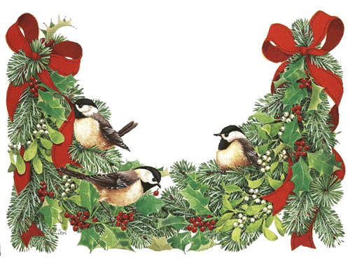 Christmas birds graphics