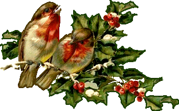 Christmas birds graphics