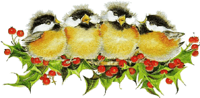 Christmas birds