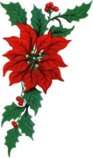 Christmas flowers graphics