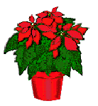 Christmas flowers graphics