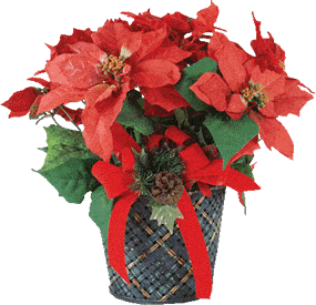 Christmas flowers graphics