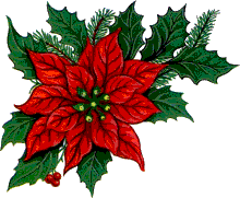 Christmas flowers graphics