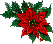 Christmas flowers graphics