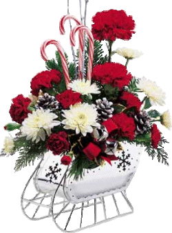 Christmas flowers graphics