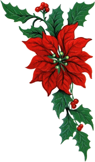 Christmas flowers graphics