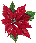 Christmas flowers graphics