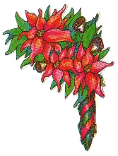 Christmas flowers graphics