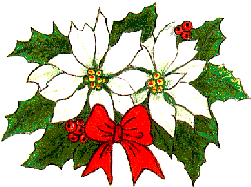 Christmas flowers