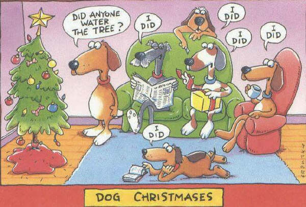 Christmas humor