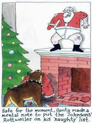 Christmas humor