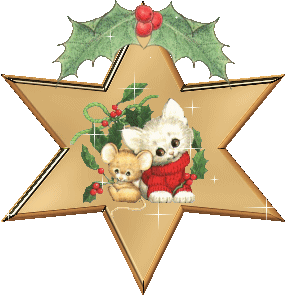 Christmas star graphics
