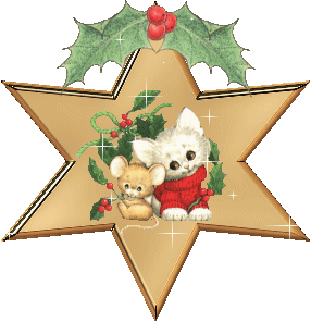 Christmas star