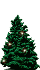 Christmas trees graphics