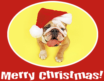 Christmas wishes graphics