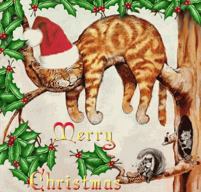 Christmas wishes graphics