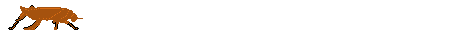 Cockroaches graphics