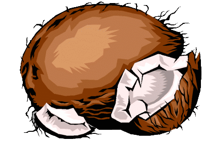 Coconut graphics